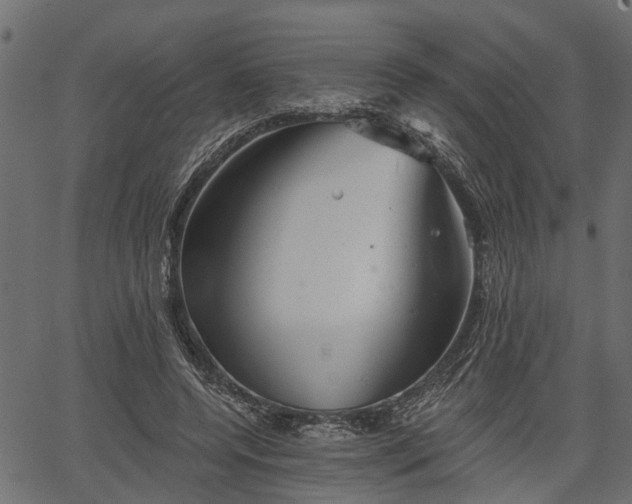 X0000066930544200603311354