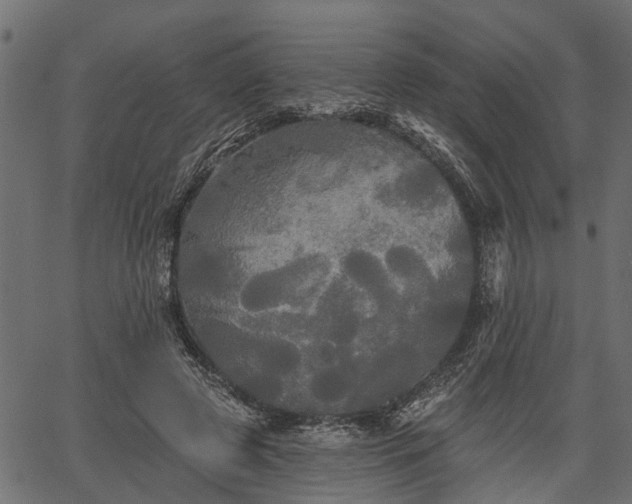 X0000066930545200603311354