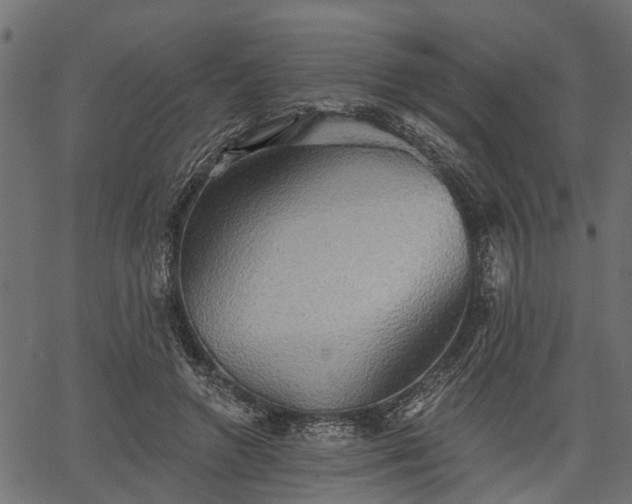 X0000066930546200603311354