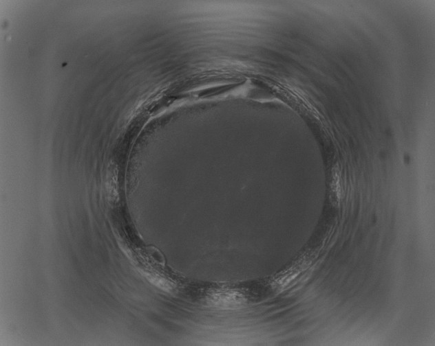 X0000066930547200603311354