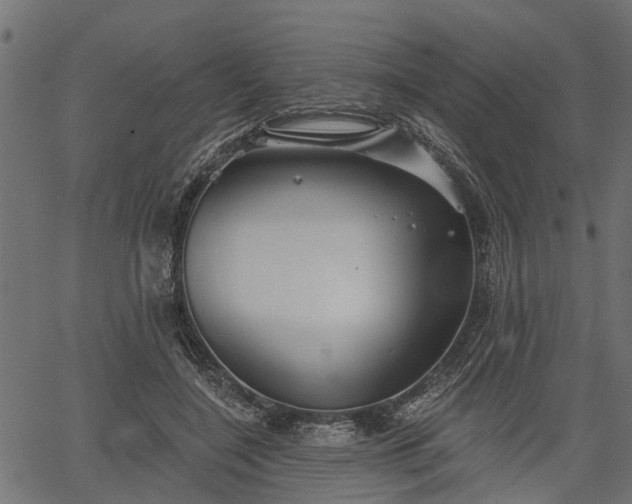 X0000066930548200603311354