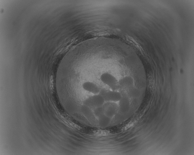 X0000066930549200603311354