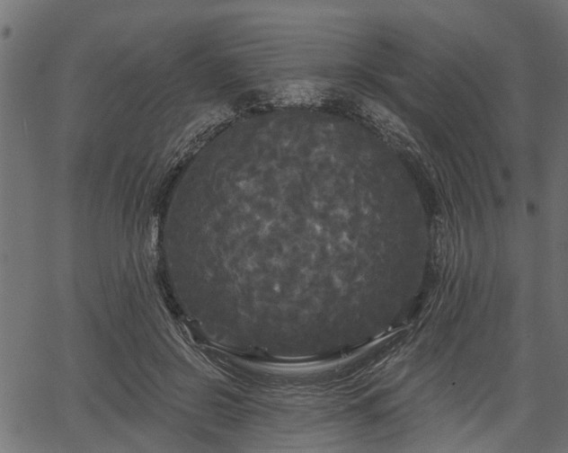 X0000066930550200603311354