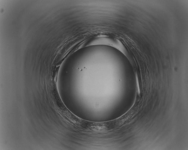 X0000066930552200603311354