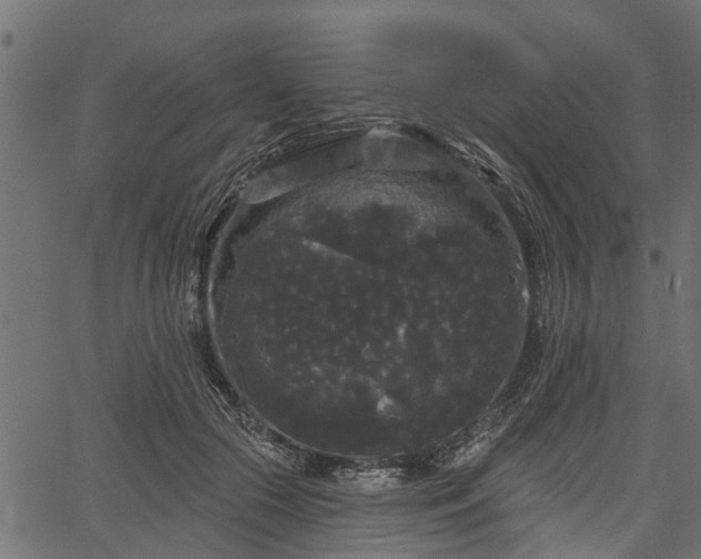 X0000066930553200603311354