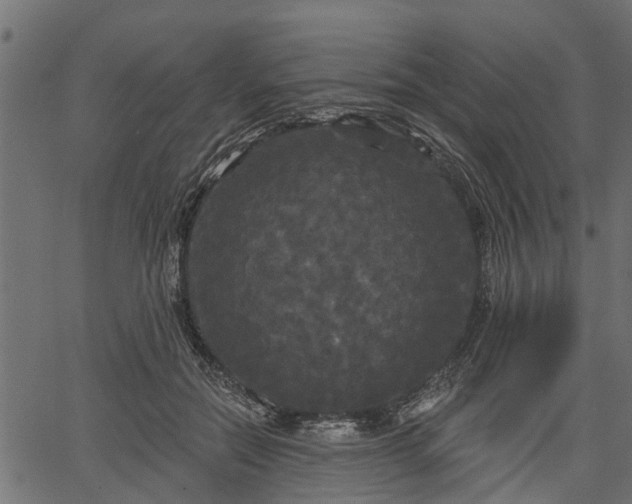 X0000066930554200603311354