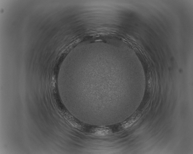 X0000066930555200603311354