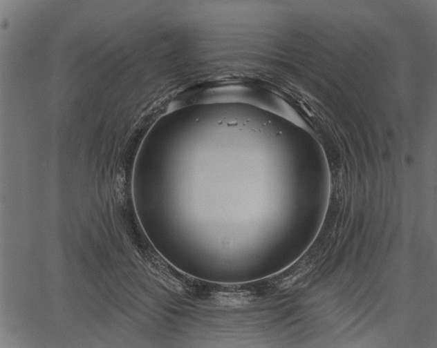 X0000066930556200603311355