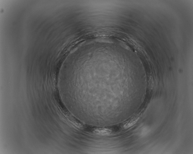 X0000066930557200603311355