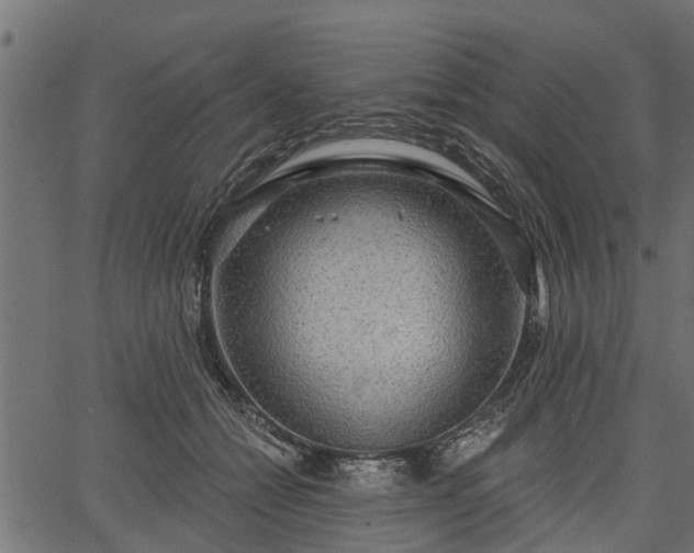 X0000066930558200603311355