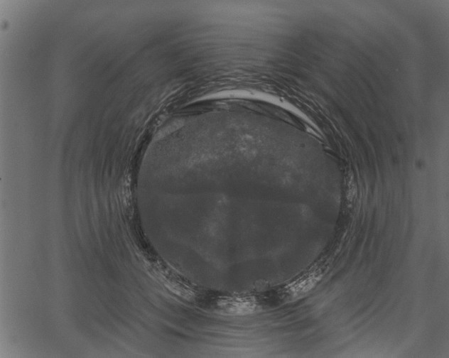 X0000066930559200603311355