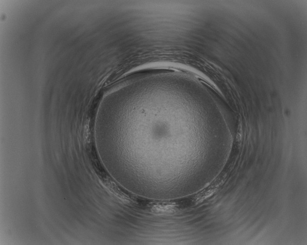 X0000066930560200603311355