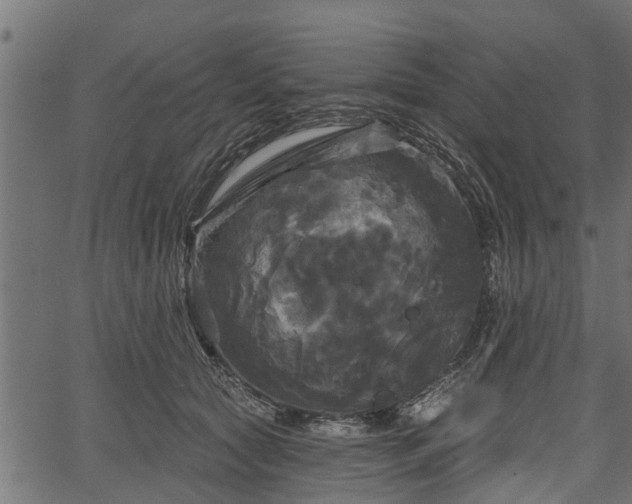 X0000066930561200603311355