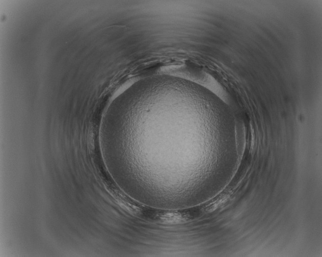 X0000066930562200603311355