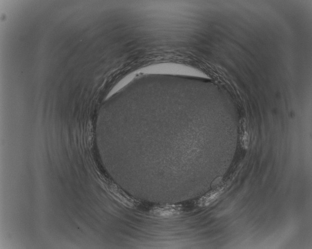 X0000066930563200603311355