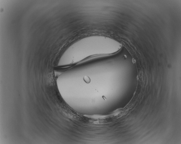 X0000066930564200603311355