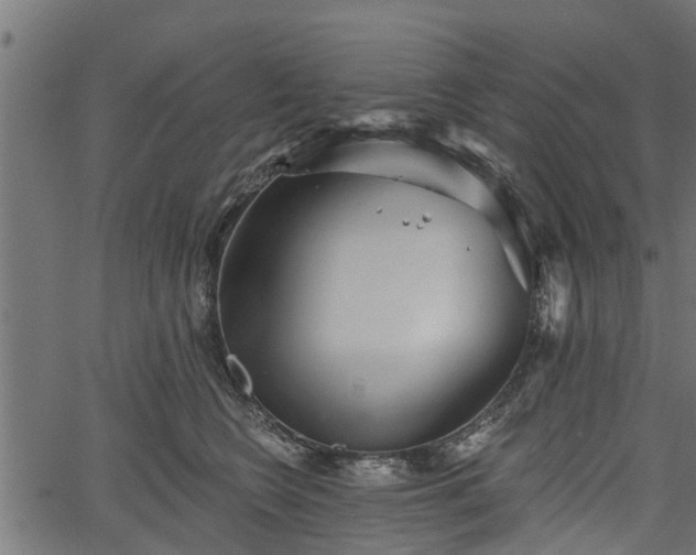 X0000066930566200603311355