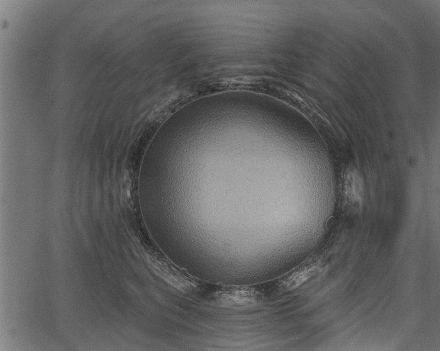 X0000066930567200603311355