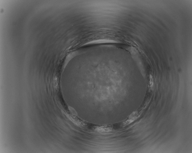 X0000066930568200603311355