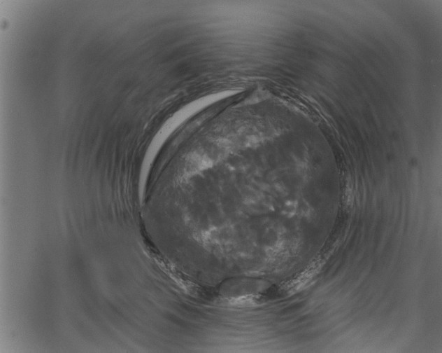 X0000066930569200603311355