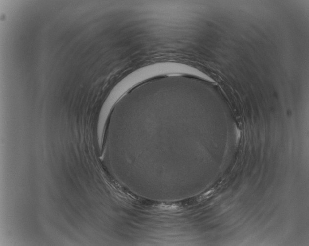 X0000066930570200603311355