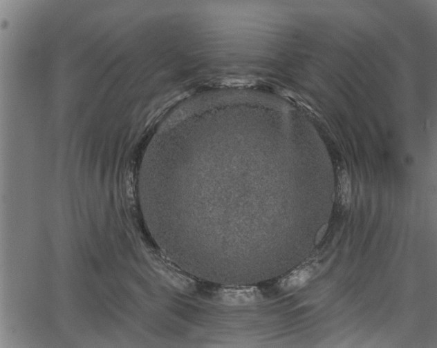 X0000066930571200603311355