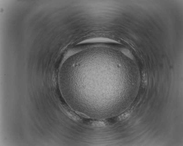 X0000066930572200603311355