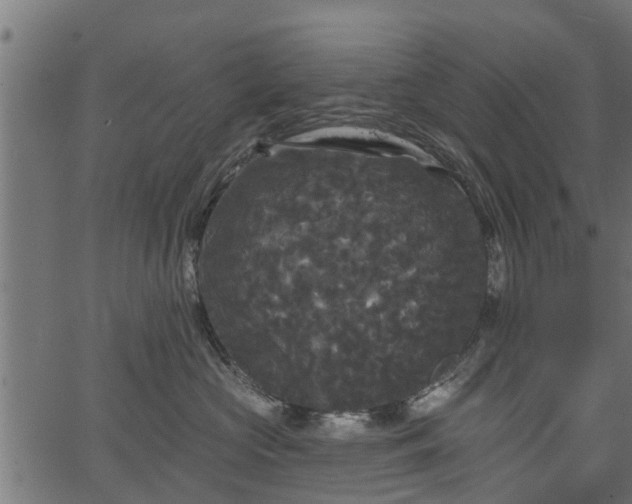 X0000066930573200603311355