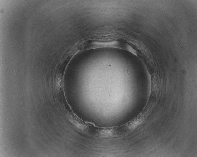 X0000066930574200603311355