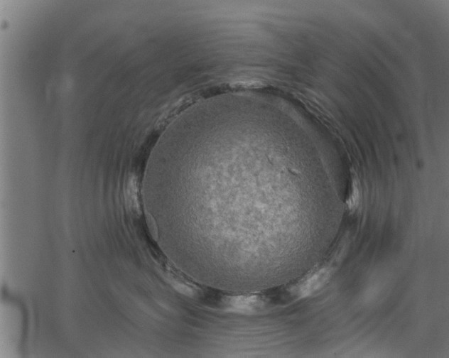 X0000066930575200603311355