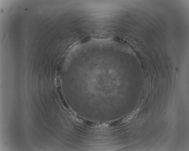 X0000066930576200603311355