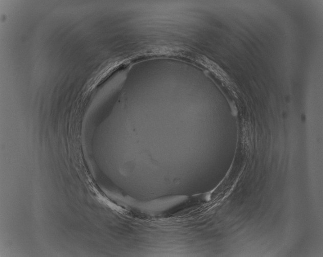 X0000066930577200603311354