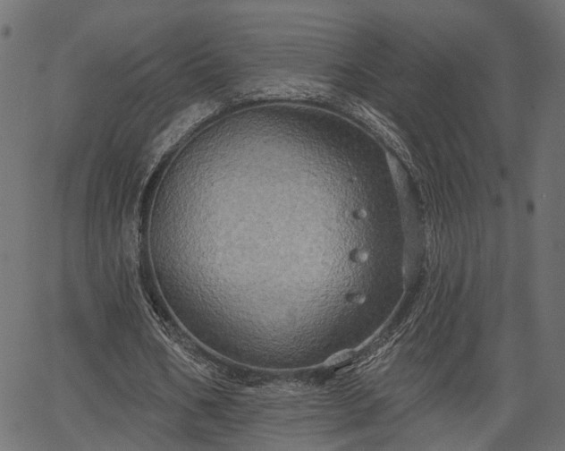 X0000066930578200603311354