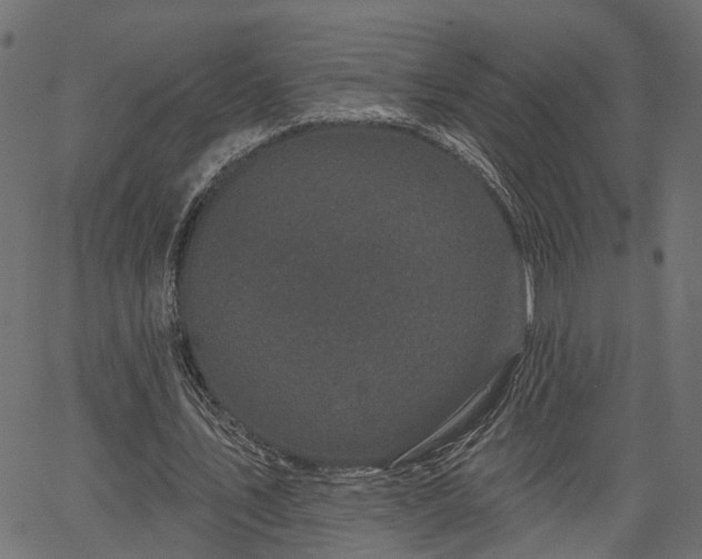 X0000066930579200603311354