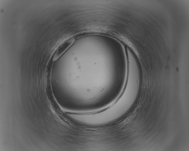 X0000066930580200603311354