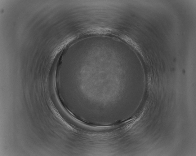 X0000066930581200603311354