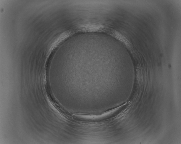 X0000066930582200603311354