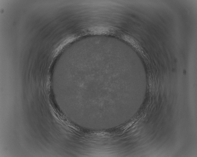 X0000066930583200603311354