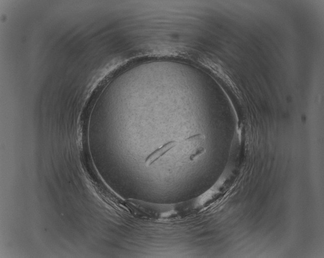 X0000066930584200603311354