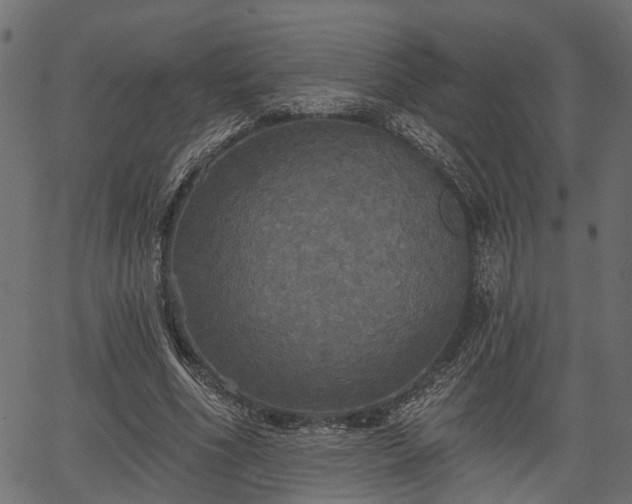 X0000066930586200603311354