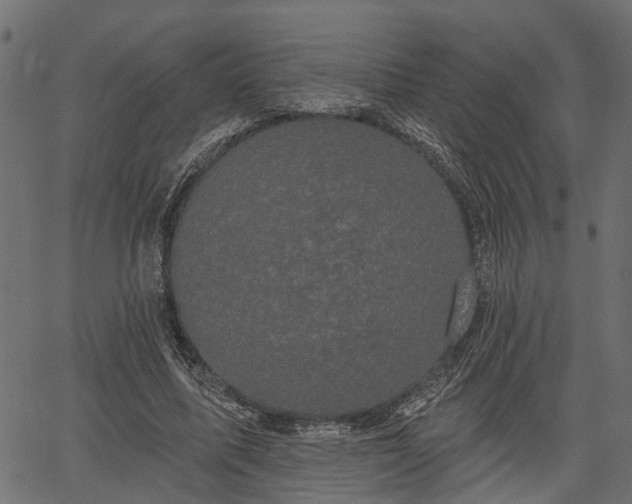 X0000066930587200603311354