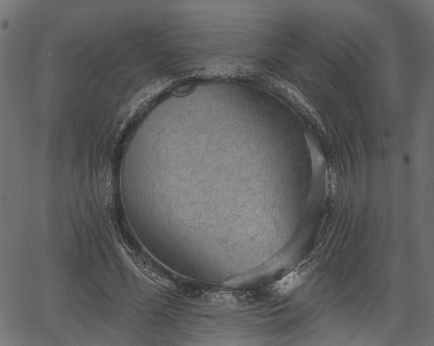 X0000066930588200603311354