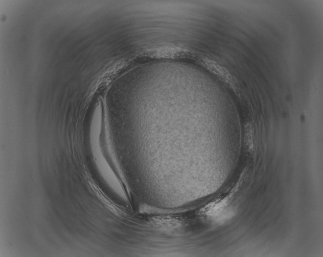 X0000066930589200603311354