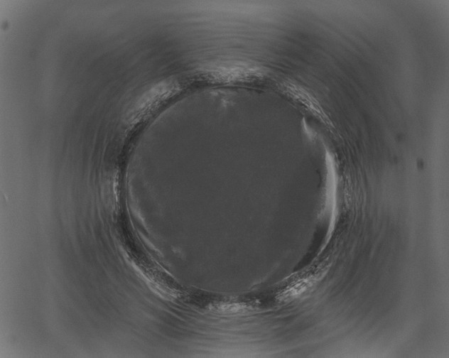 X0000066930590200603311354