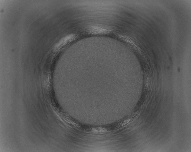 X0000066930591200603311354