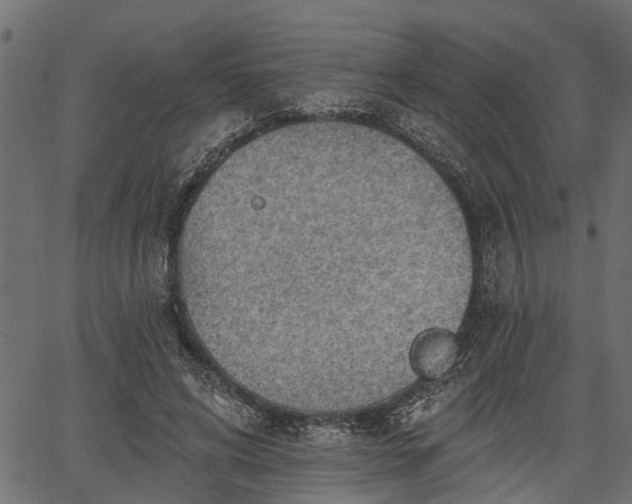 X0000066930592200603311354