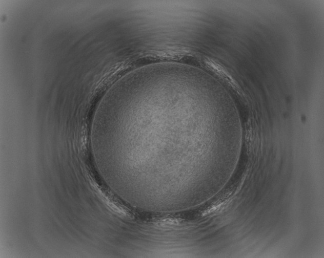 X0000066930593200603311354