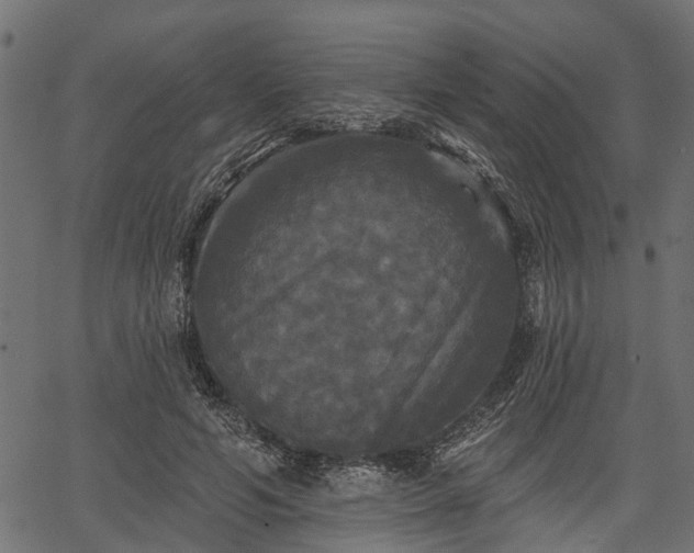 X0000066930594200603311354