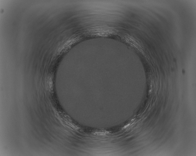 X0000066930595200603311354