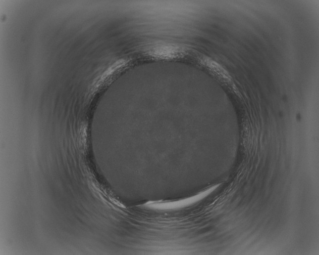 X0000066930596200603311354